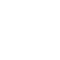 NSW Ports Logo White
