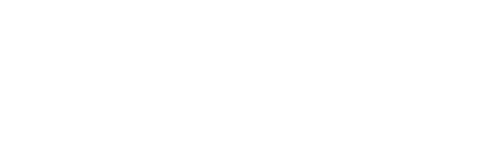 Qld Government Logo White